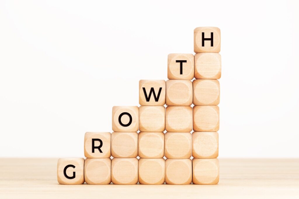 growth strategy explained 